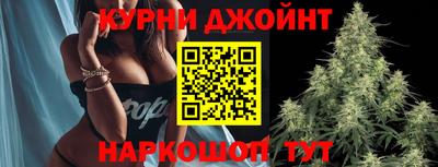 гашик Балахна